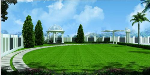  avenue Landscape Garden and Tree Planting