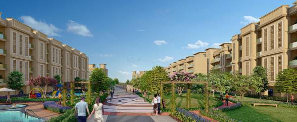  city-37d-ii-2 Elevation