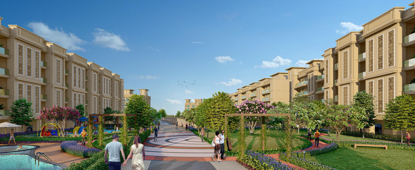  city 37d ii 2 Elevation