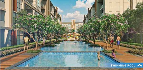  city-37d-ii-2 Swimming Pool