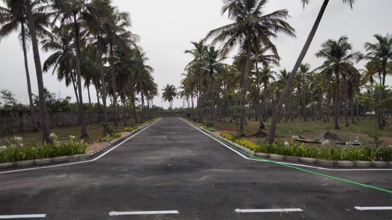  sapphire garden Plot