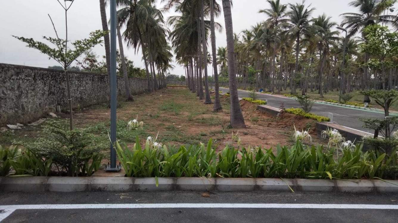  sapphire garden Plot