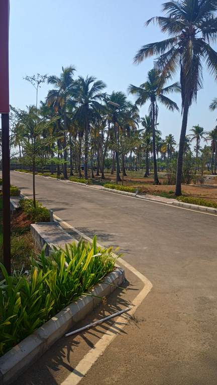  sapphire garden Plot