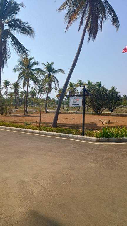  sapphire garden Plot