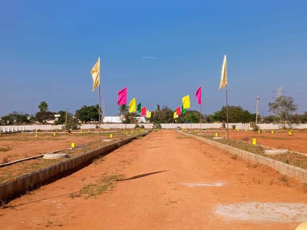  pearl-city Elevation