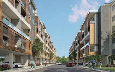 Others the-mist Others