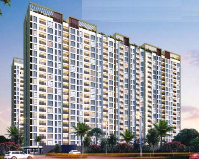  the world of joy Elevation