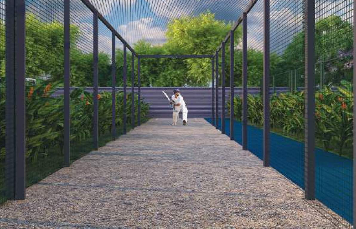  the world of joy Cricket Pitch