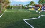  the-world-of-joy Football Field