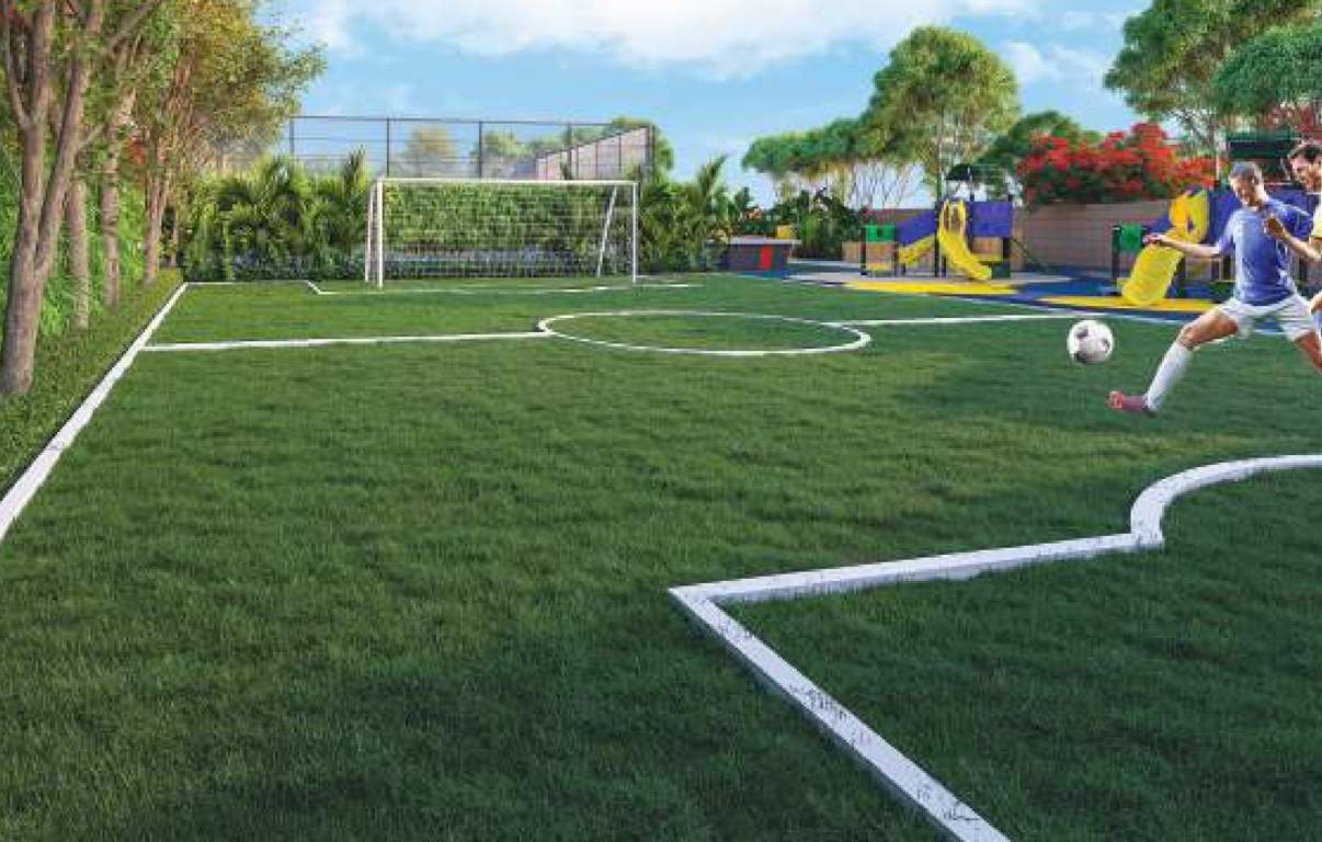  the world of joy Football Field