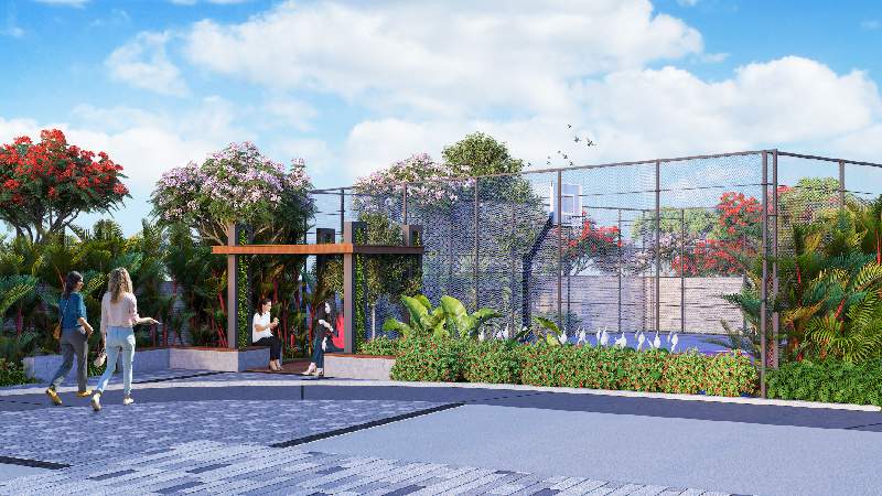  the world of joy Others