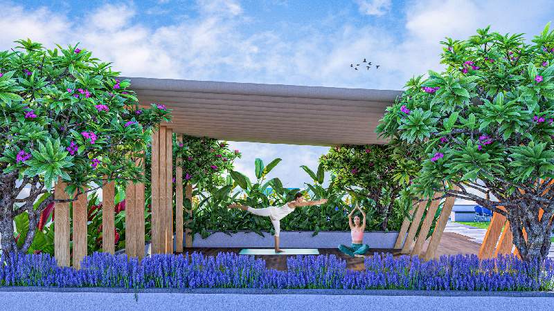  the world of joy Others