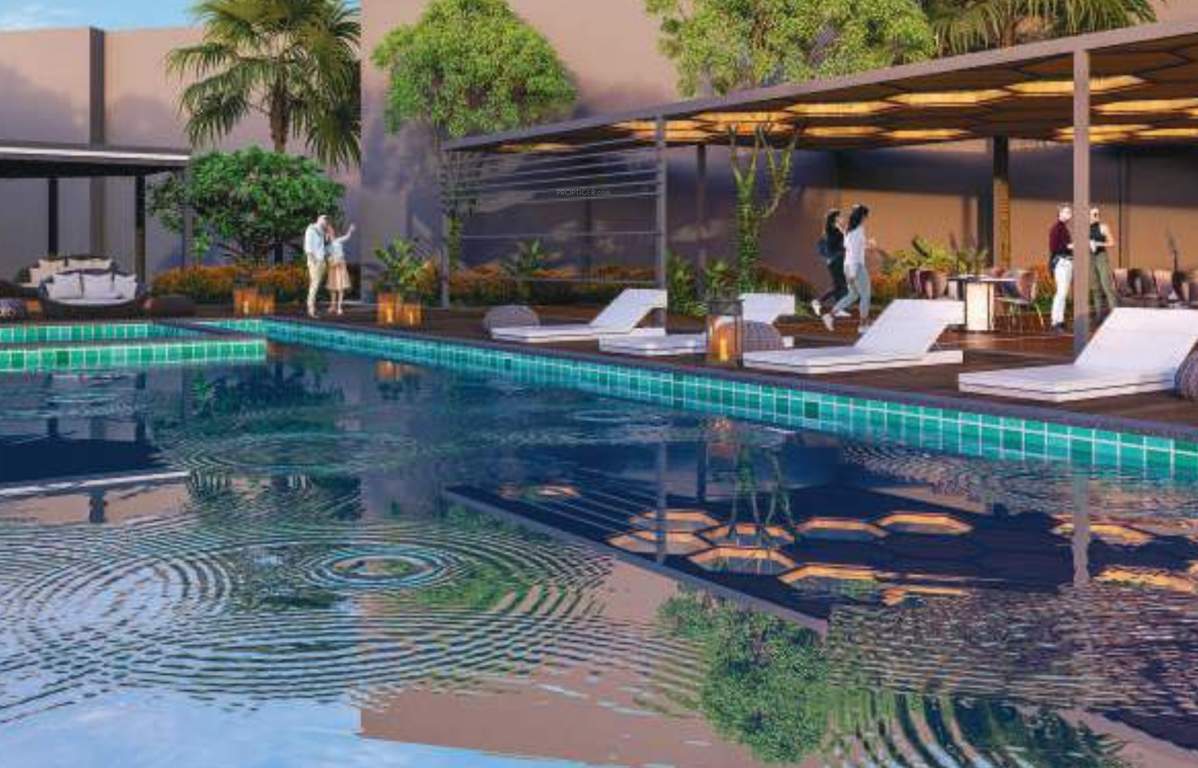  the world of joy Swimming Pool