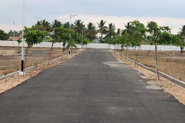 Greenfield Platina Phase II
