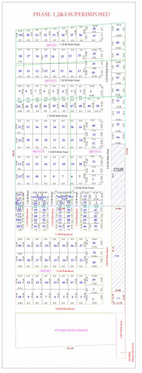  tvh bloom phase ii Layout Plan