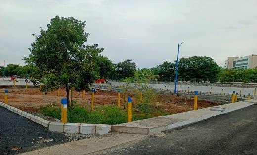 tvh-bloom-phase-ii Elevation Elevation