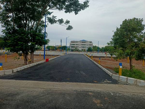 Others bloom-phase-ii Others