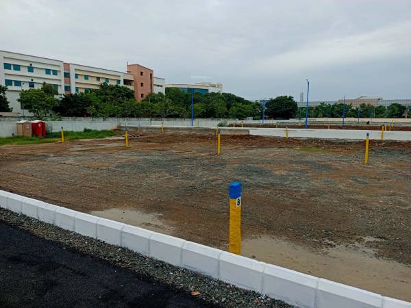 Plot tvh-bloom-phase-ii Plot