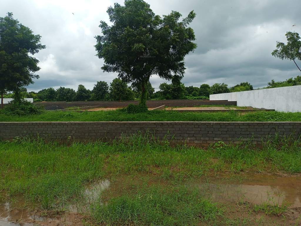  brij vatika Plot