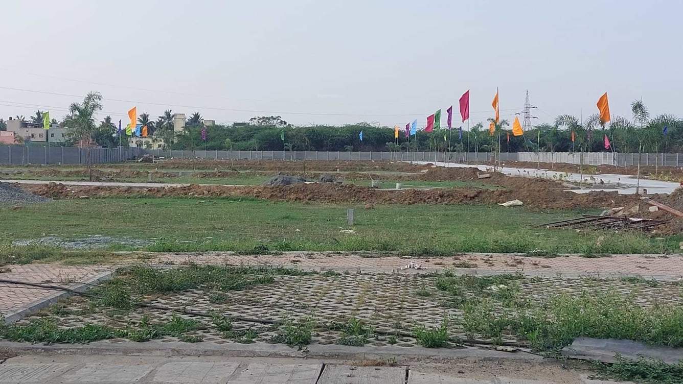  crown city Plot