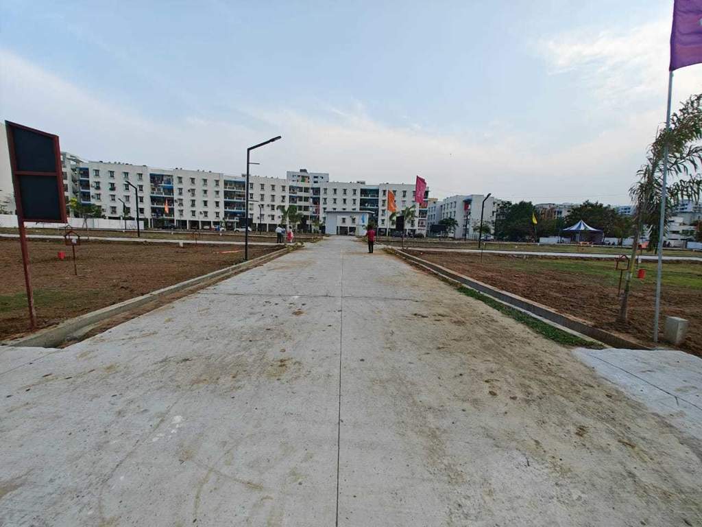  crown city Plot