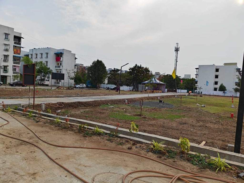  crown city Plot