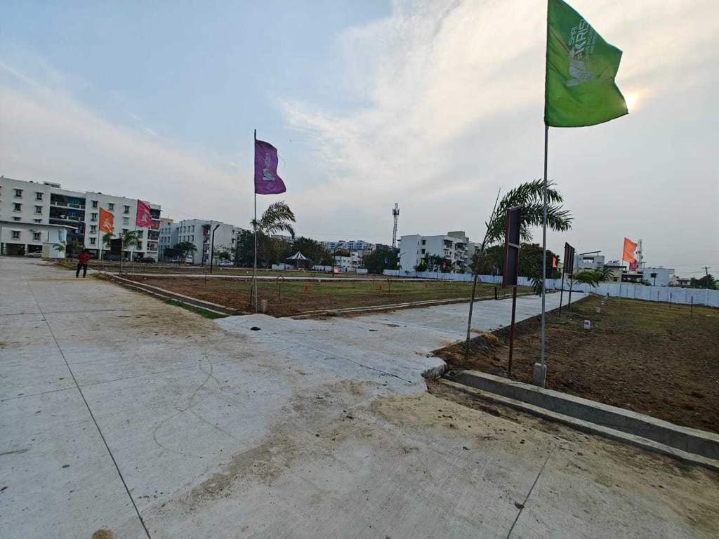  crown city Plot