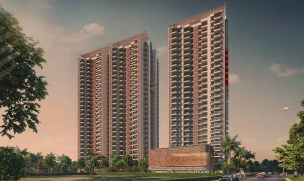 Elevation one Elevation