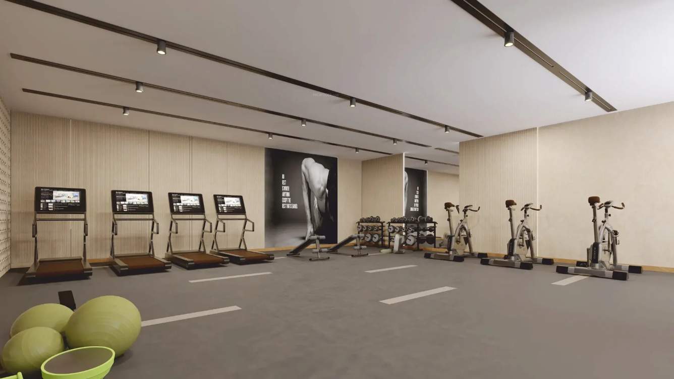  spinel stone Gymnasium