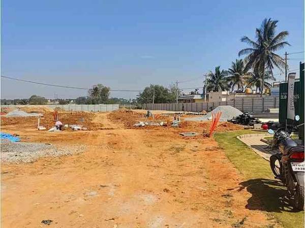  diamond-blossoms Diamond Blossoms Construction Status March-23