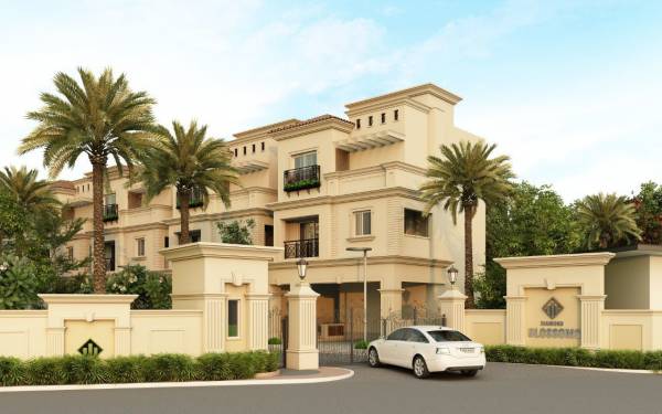  diamond-blossoms Elevation