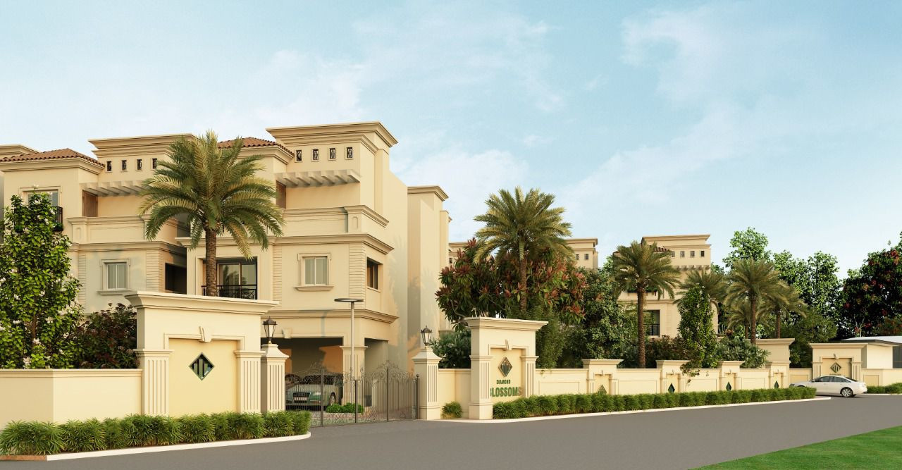  diamond blossoms Elevation