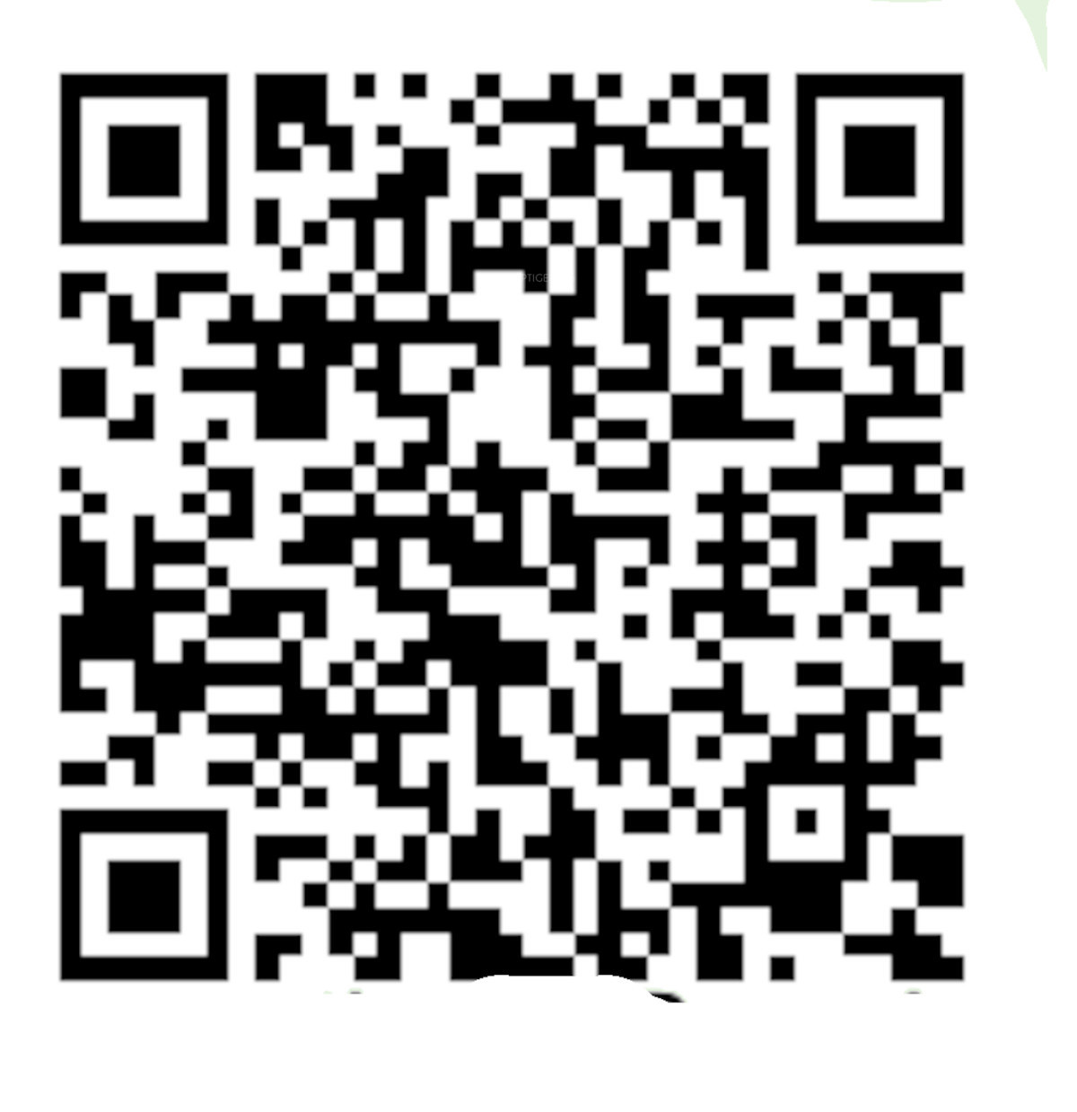 QR Image