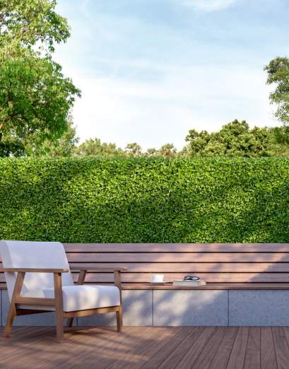  lona Senior Citizen Sitout