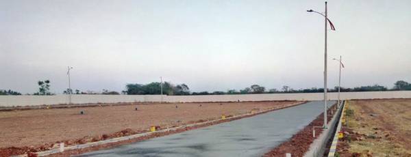 Plot cheran-avenue Plot