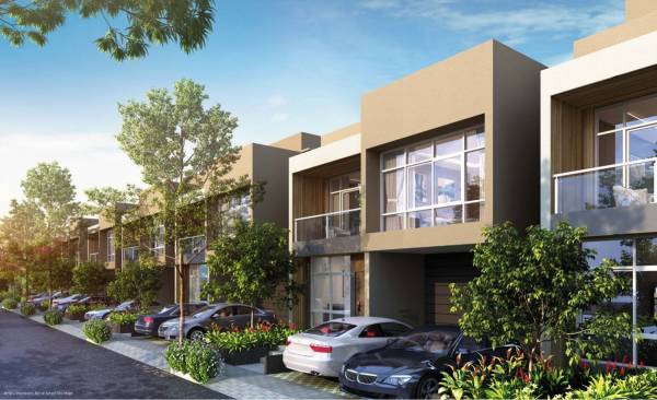 Elevation aaranya Elevation