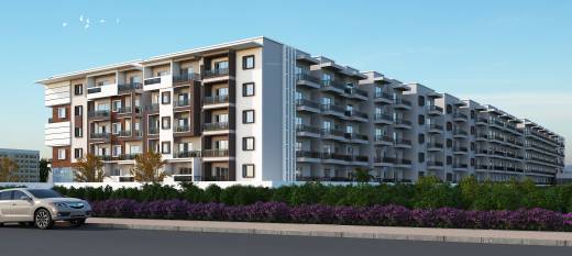 rose-woods Elevation Elevation