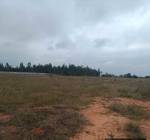 Elevation  midlands Elevation