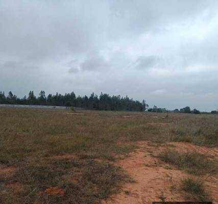 midlands Elevation Elevation