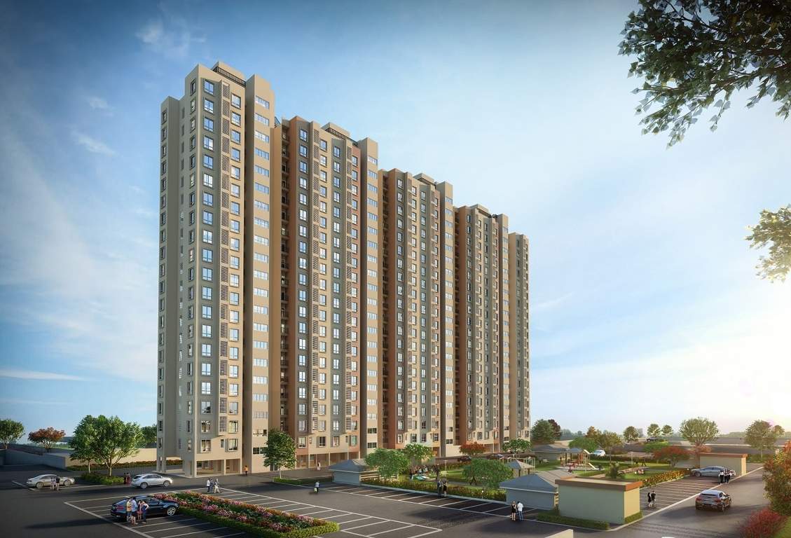  haven of joy Elevation