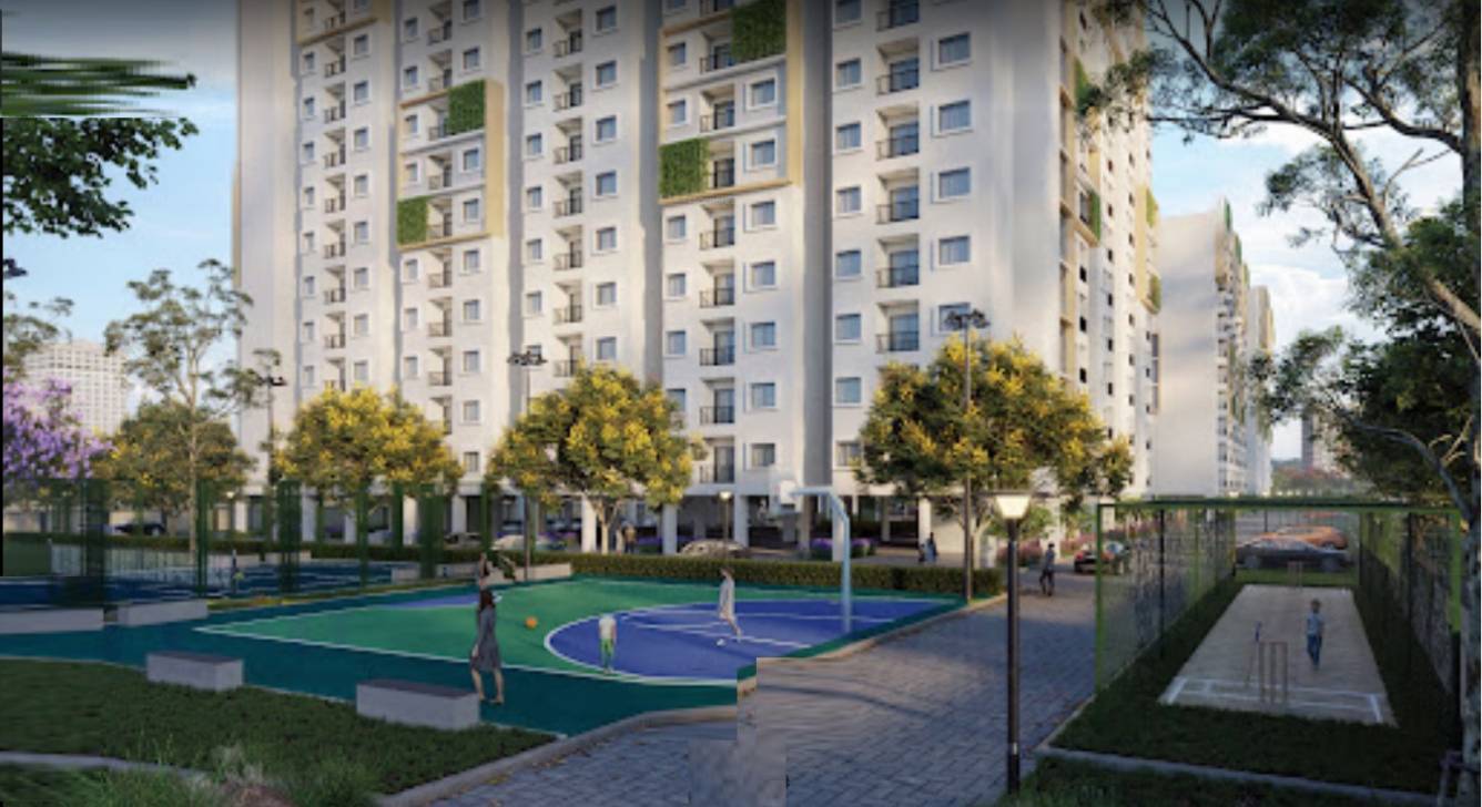 shivadhanush Cricket Pitch