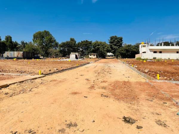  gardenia Internal Roads