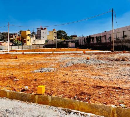 midcity Elevation Elevation