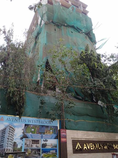  westbrook Aventus Westbrook Construction Status Apr-24