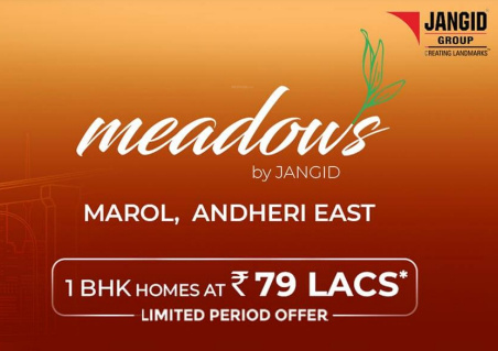 meadows Time Linked Payment (TLP) Payment Plan