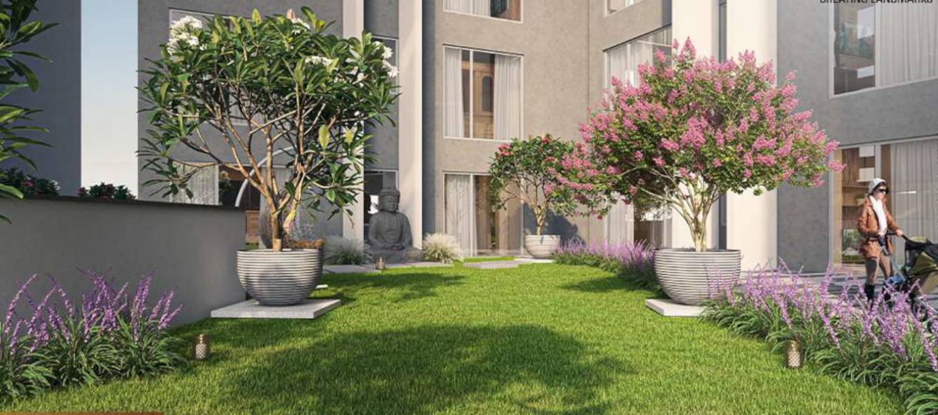  meadows Landscape Garden and Tree Planting