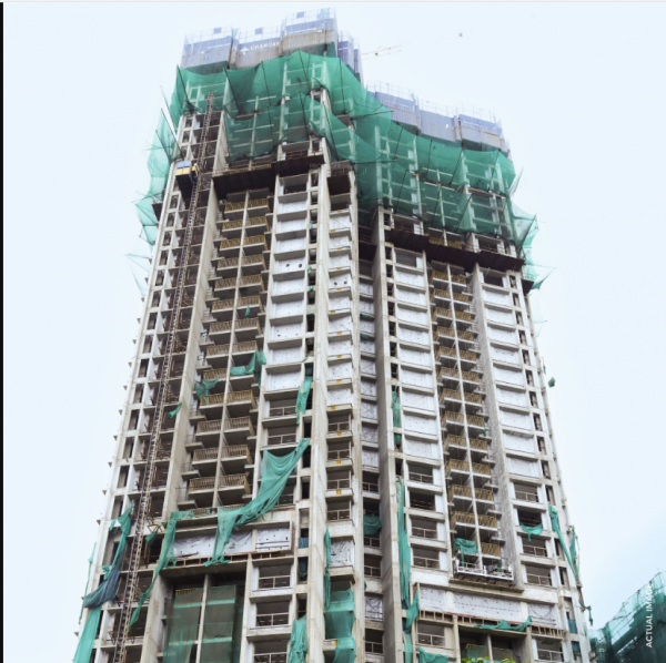  treesourus Construction Status July-25