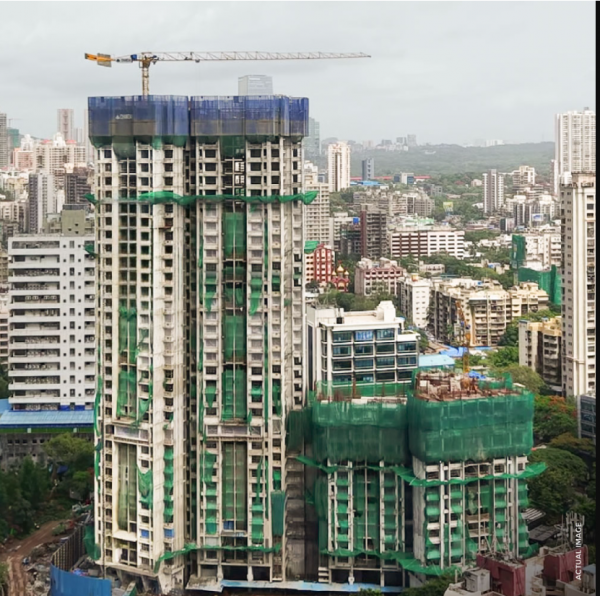  treesourus Construction Status July-25