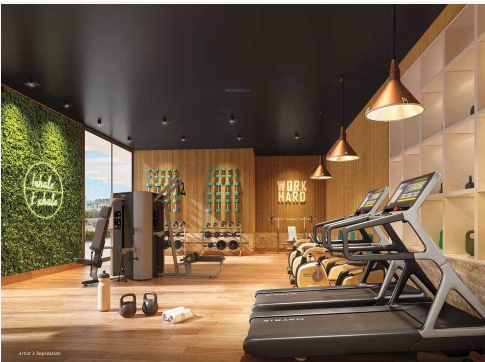  treesourus Gymnasium