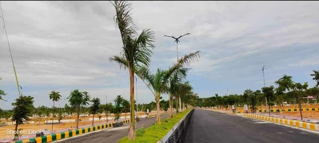  green county Elevation